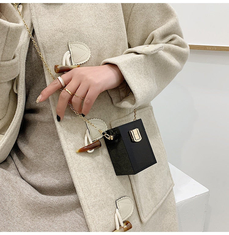 Mini Acrylic Transparent Bag