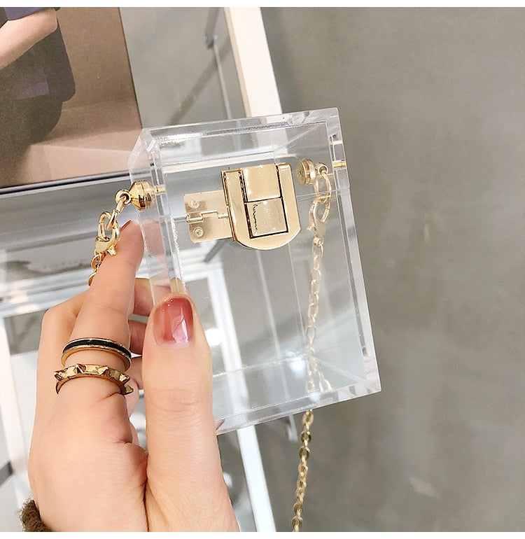 Mini Acrylic Transparent Bag